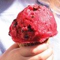 raspberry-chocolate-chip-frozen-yogurt-th2